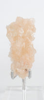 Green Apophyllite with Pink Stilbite & Sugar Druzy Cluster