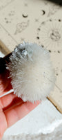 Mesolite Specimen Cluster * With Green Apophyllite · 12