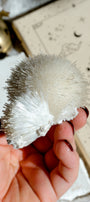 Mesolite Specimen Cluster · 23