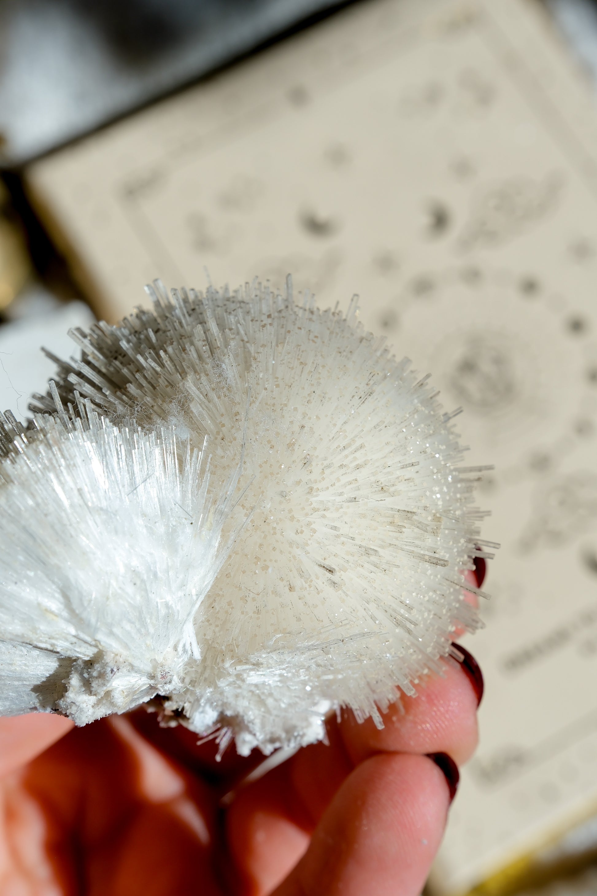 Mesolite Specimen Cluster · 23