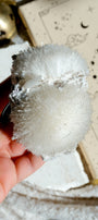 Mesolite Specimen Cluster * With Green Apophyllite · 21
