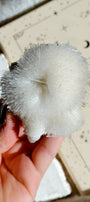 Mesolite Specimen Cluster *With Green Apophyllite · 25