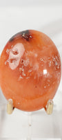 Carnelian Agate Palmstone