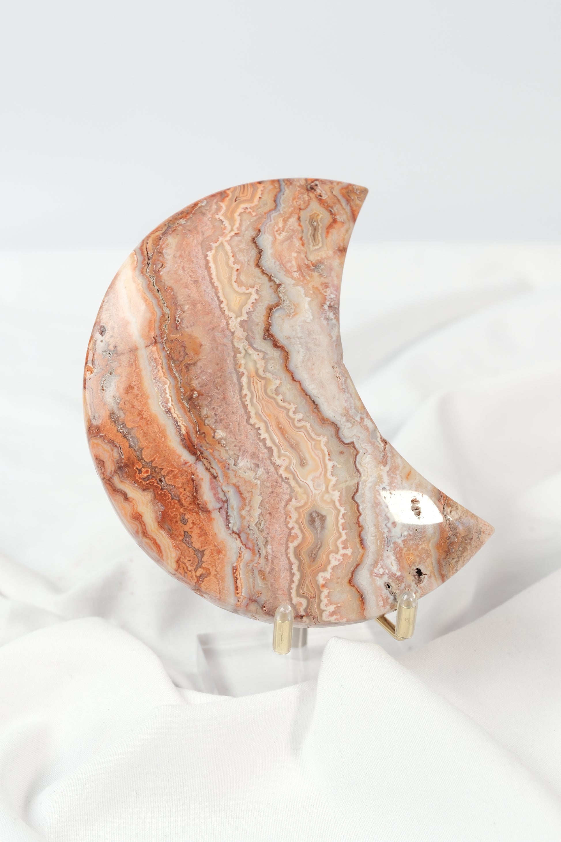 Pink Crazy Lace Moon on Stand