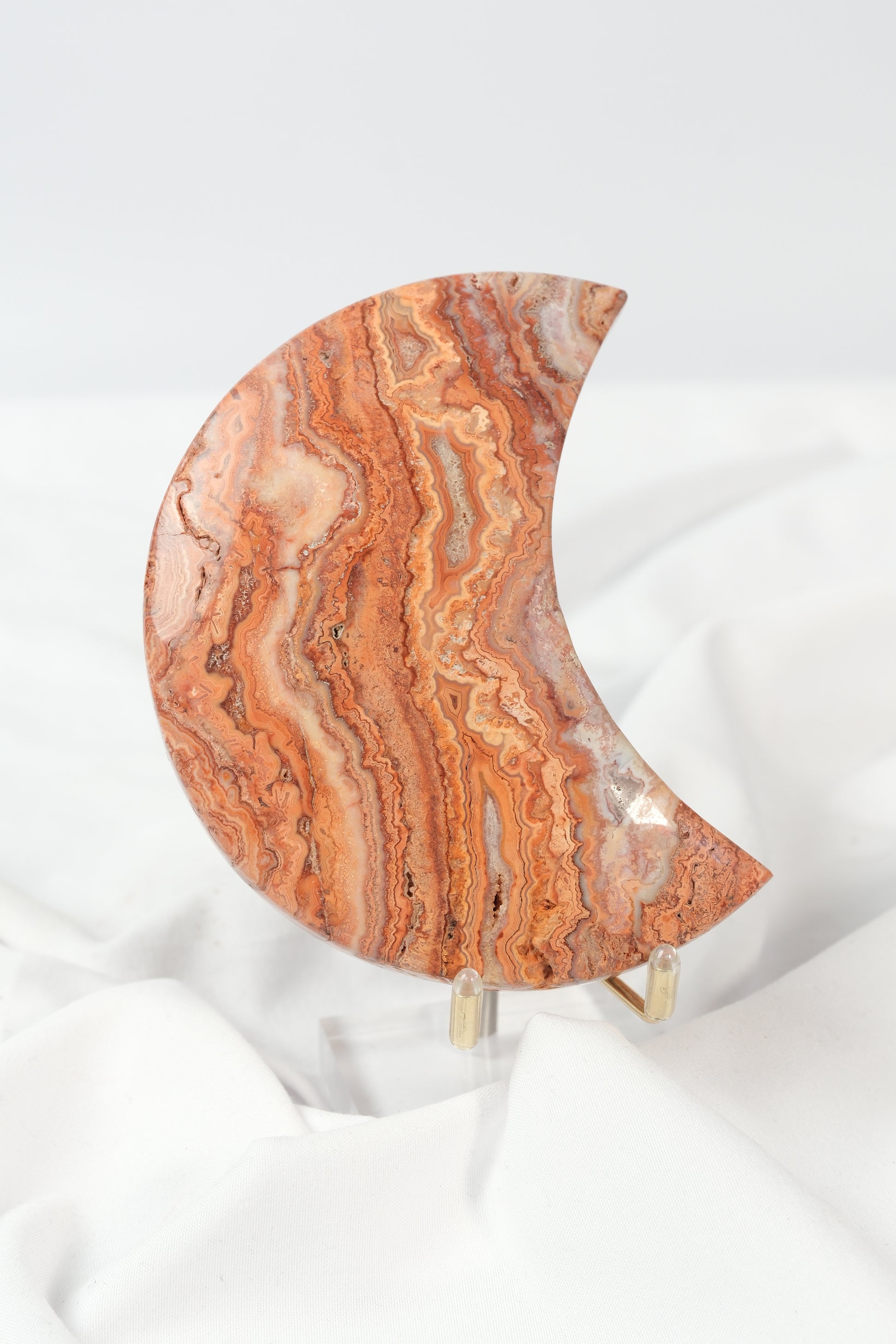 Pink Crazy Lace Moon on Stand