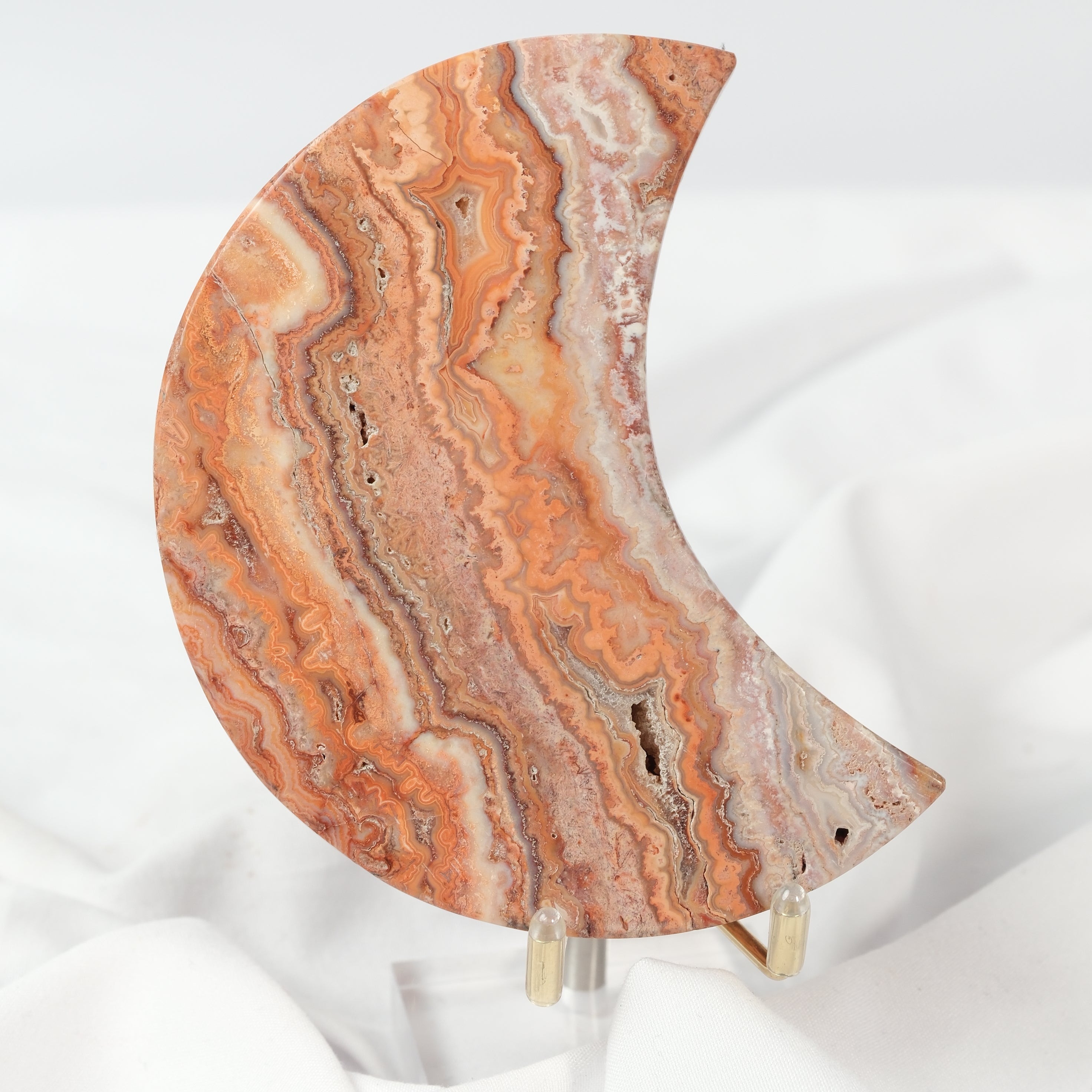 Pink Crazy Lace Moon on Stand