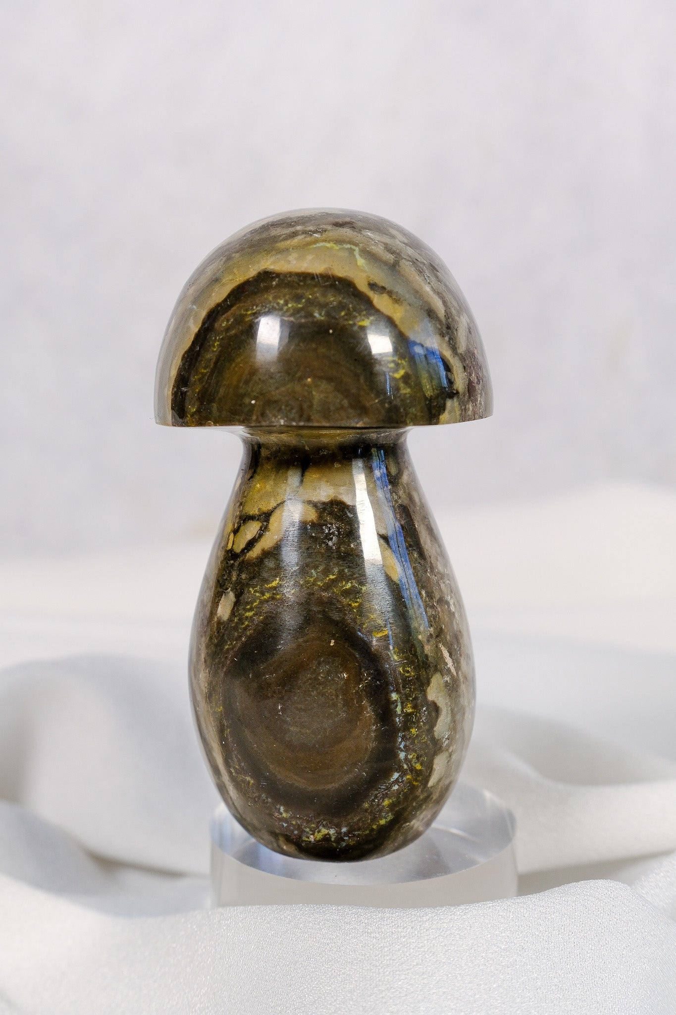 Polychrome Jasper Mushroom