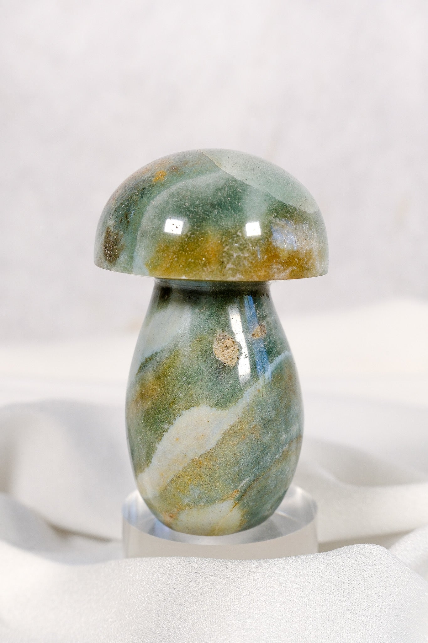 Ocean Jasper Mushroom