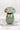 Ocean Jasper Mushroom