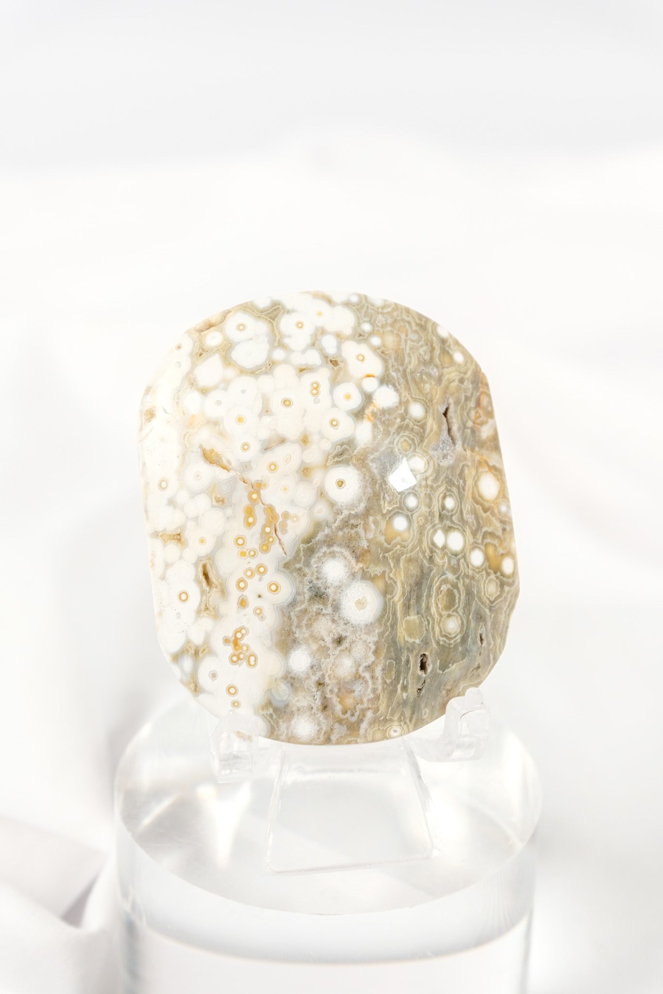 Orbicular Sea Jasper Palmstone