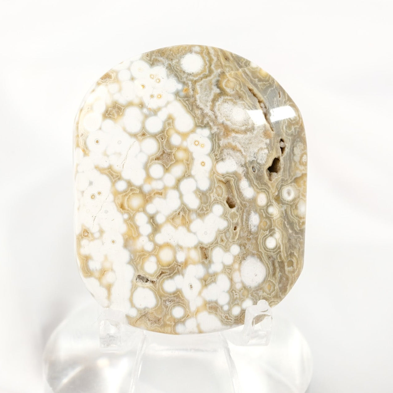 Orbicular Sea Jasper Palmstone