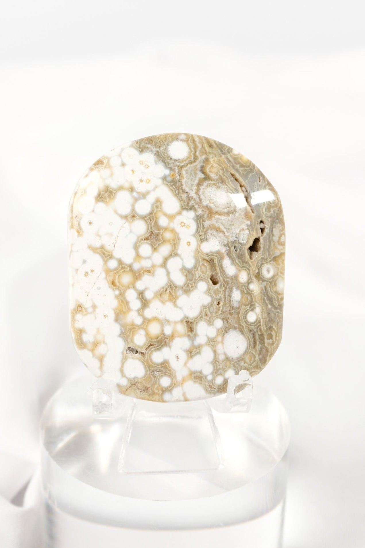Orbicular Sea Jasper Palmstone