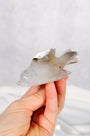 Orca Agate Dolphin Healing Crystal.
