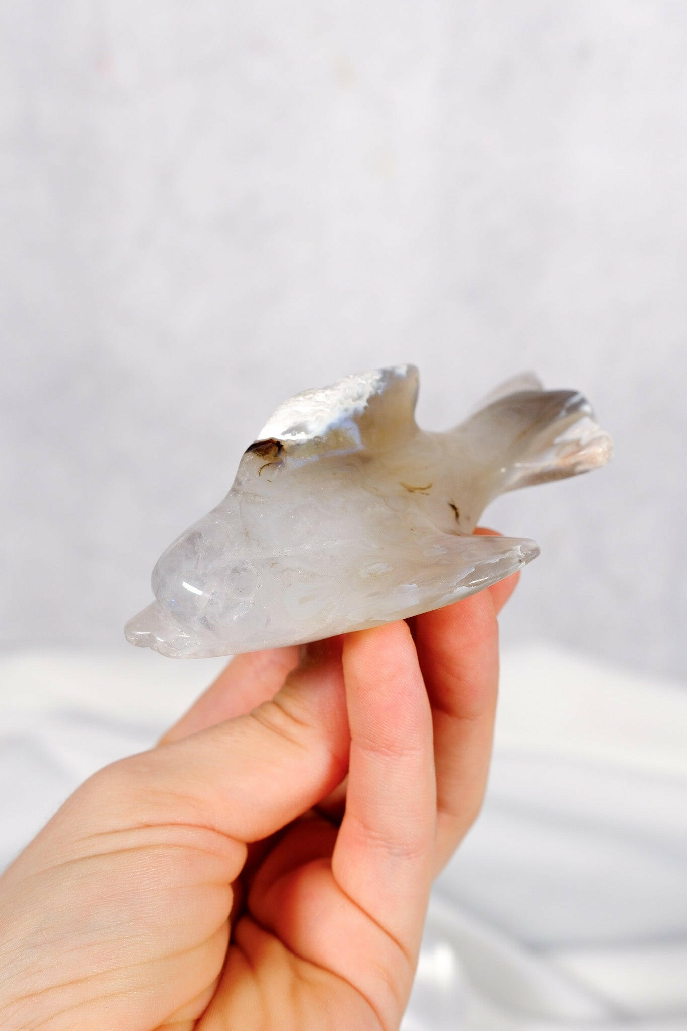 Orca Agate Dolphin Healing Crystal.