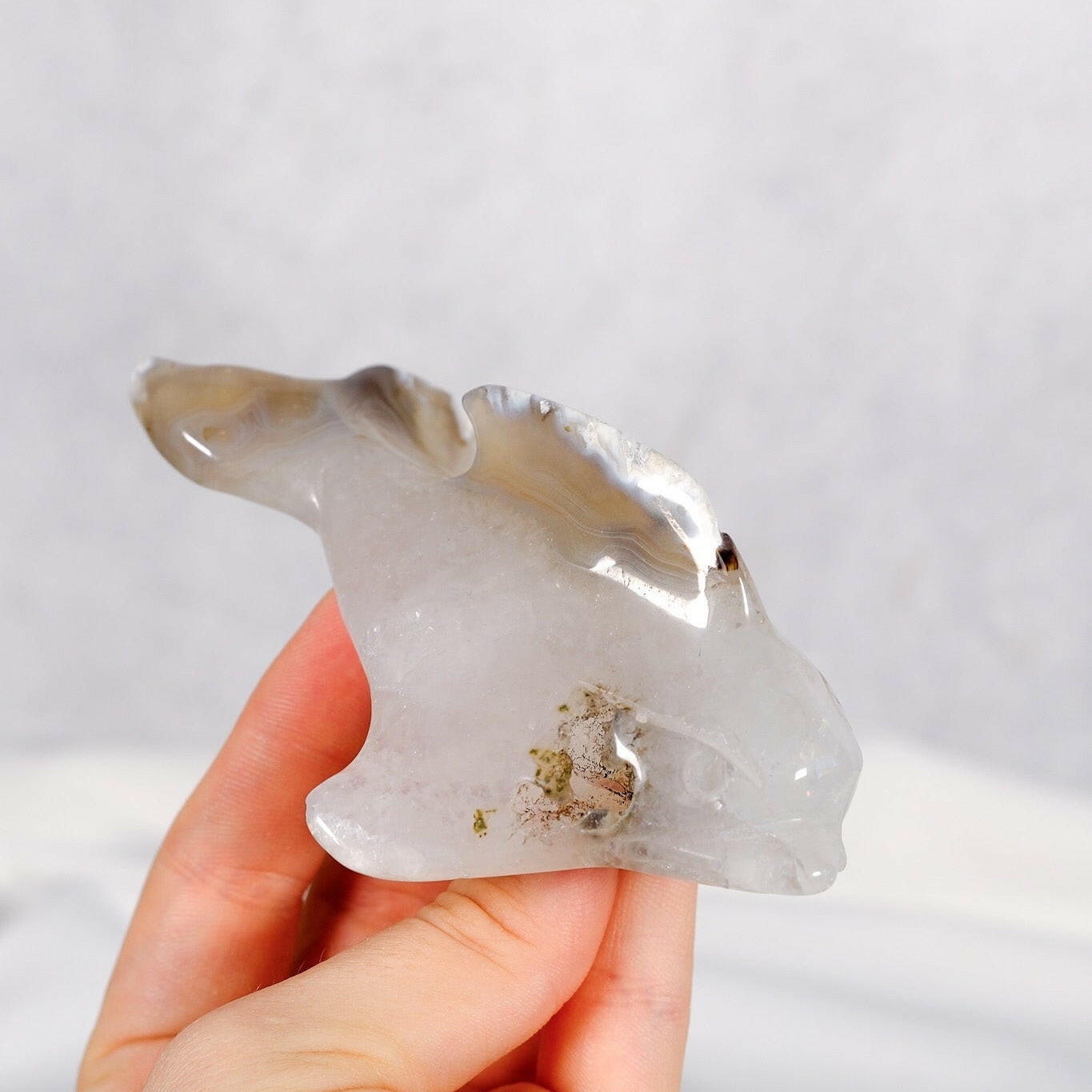 Orca Agate Dolphin Healing Crystal.