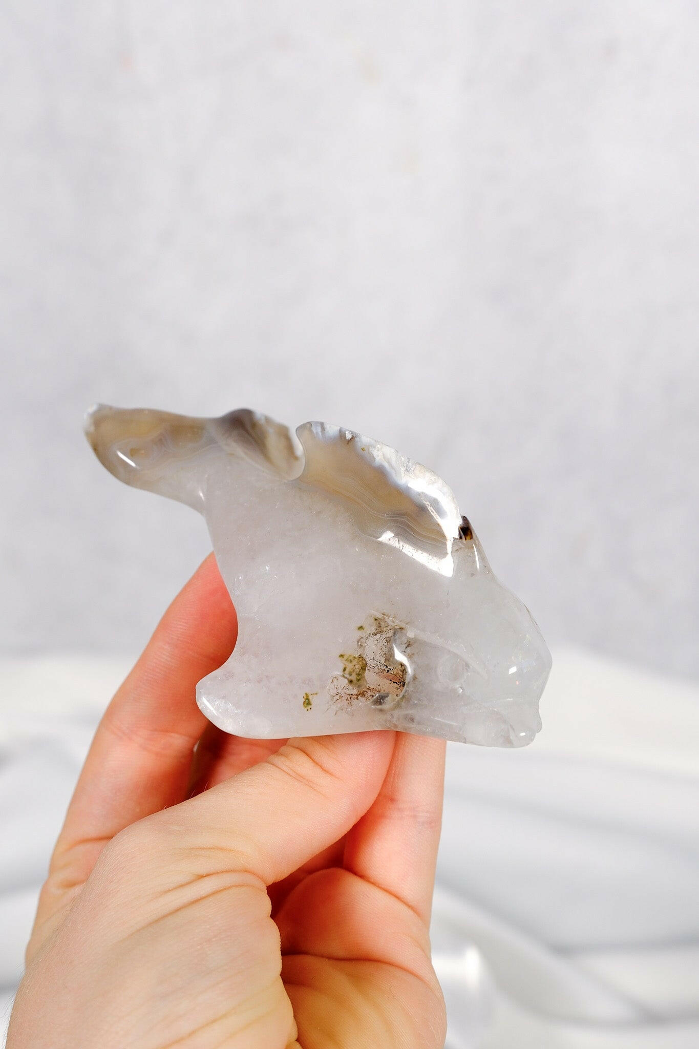 Orca Agate Dolphin Healing Crystal.