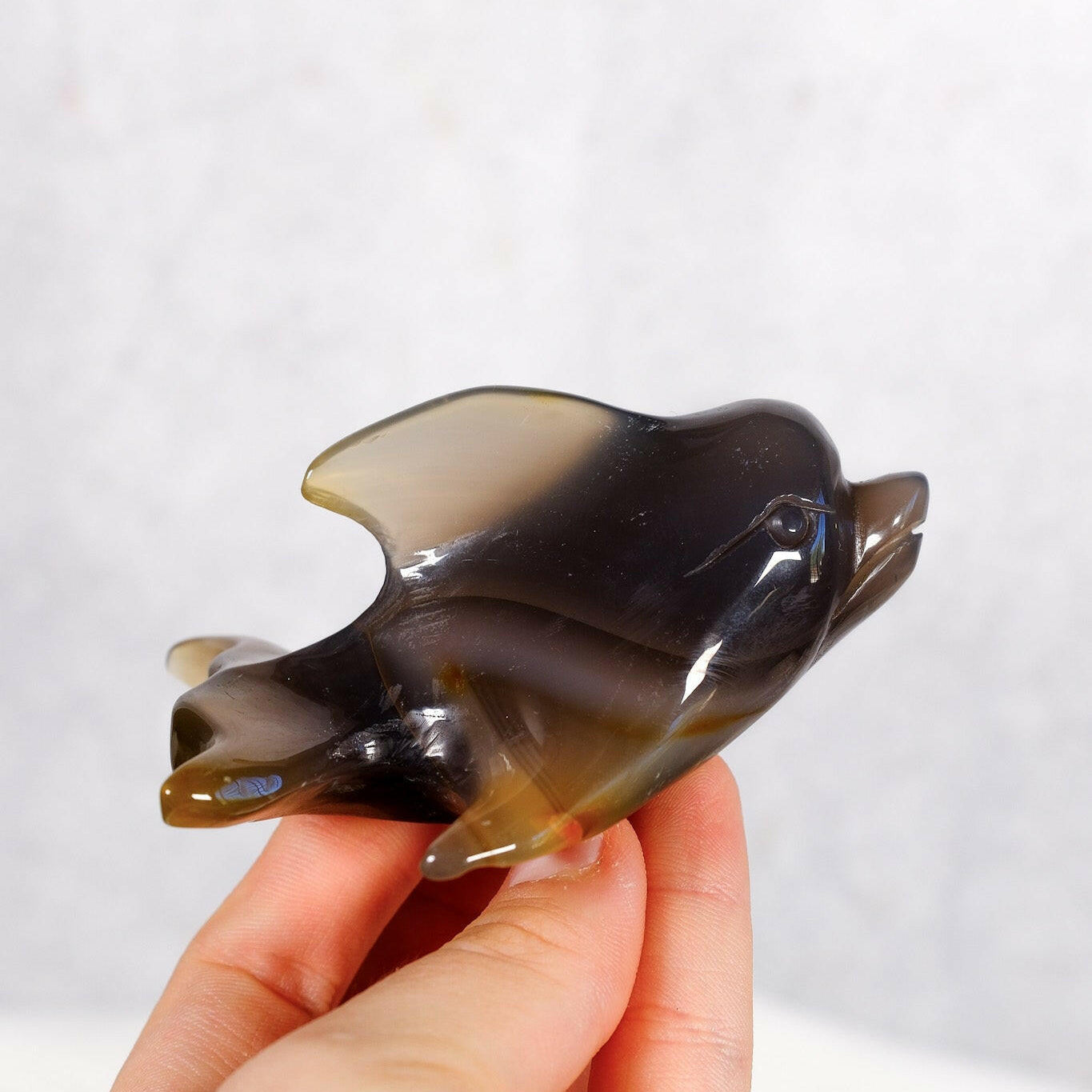 Orca Agate Dolphin Healing Crystal.