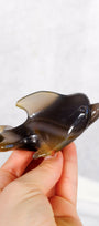 Orca Agate Dolphin Healing Crystal.
