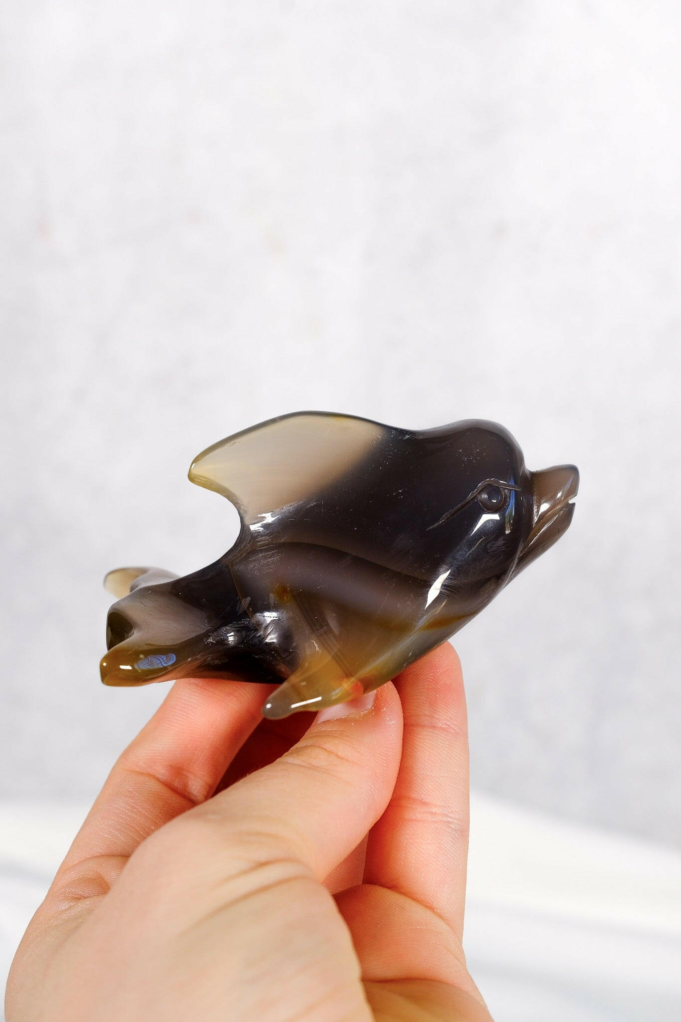Orca Agate Dolphin Healing Crystal.