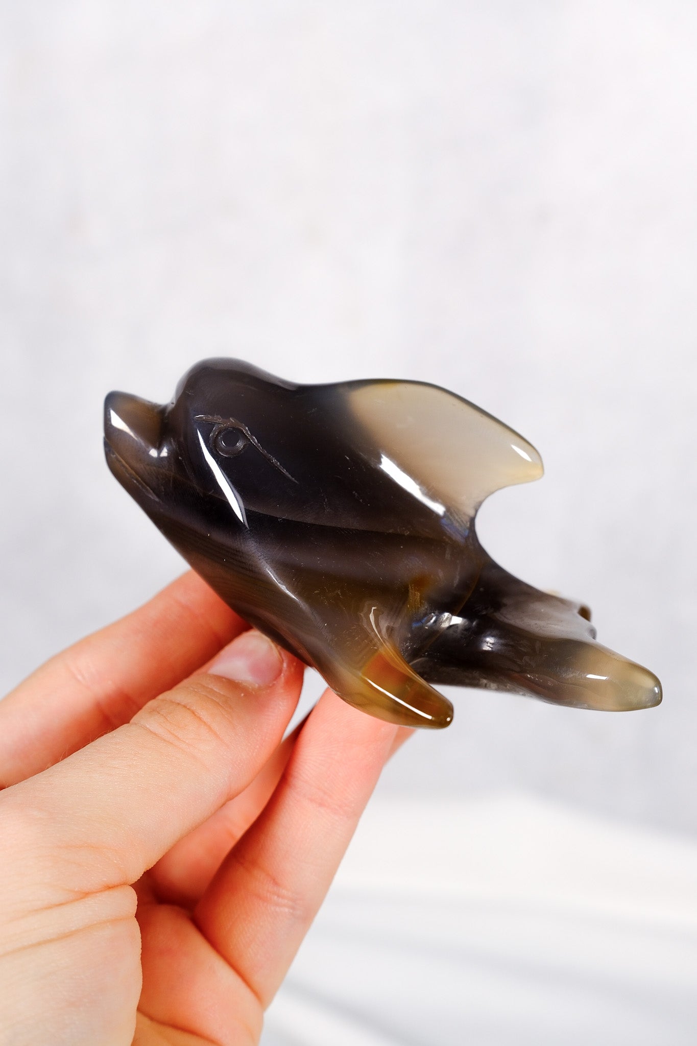 Orca Agate Dolphin