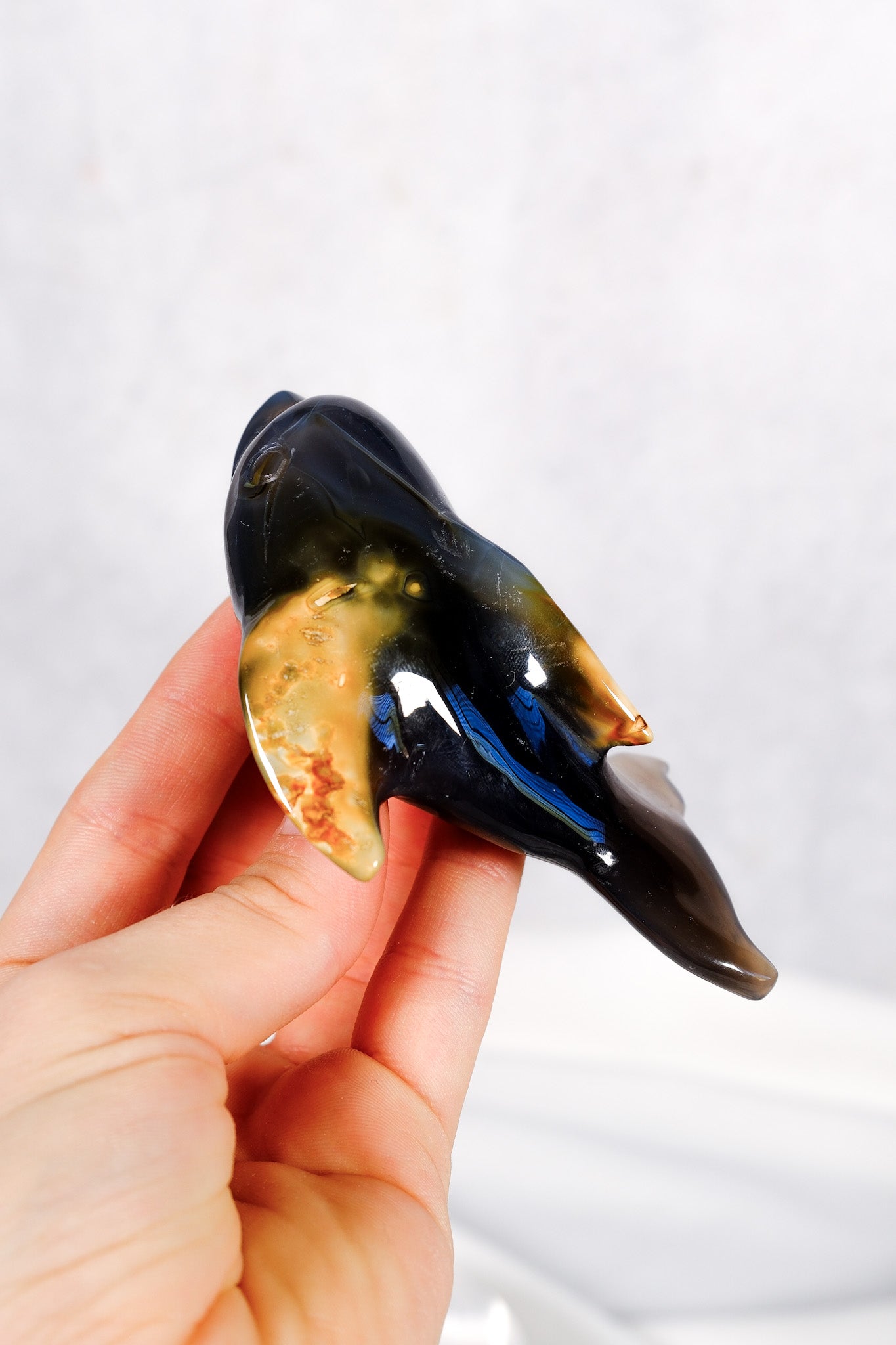 Orca Agate Dolphin