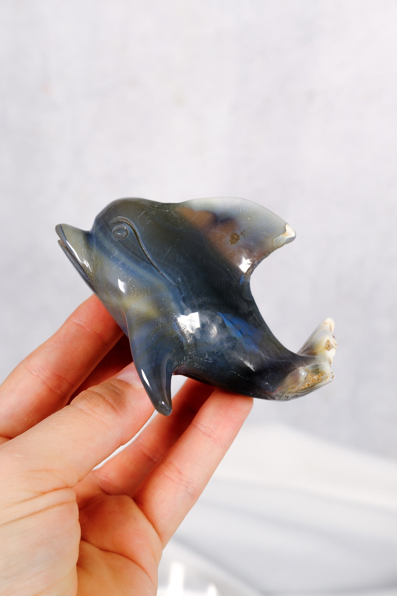 Orca Agate Dolphin