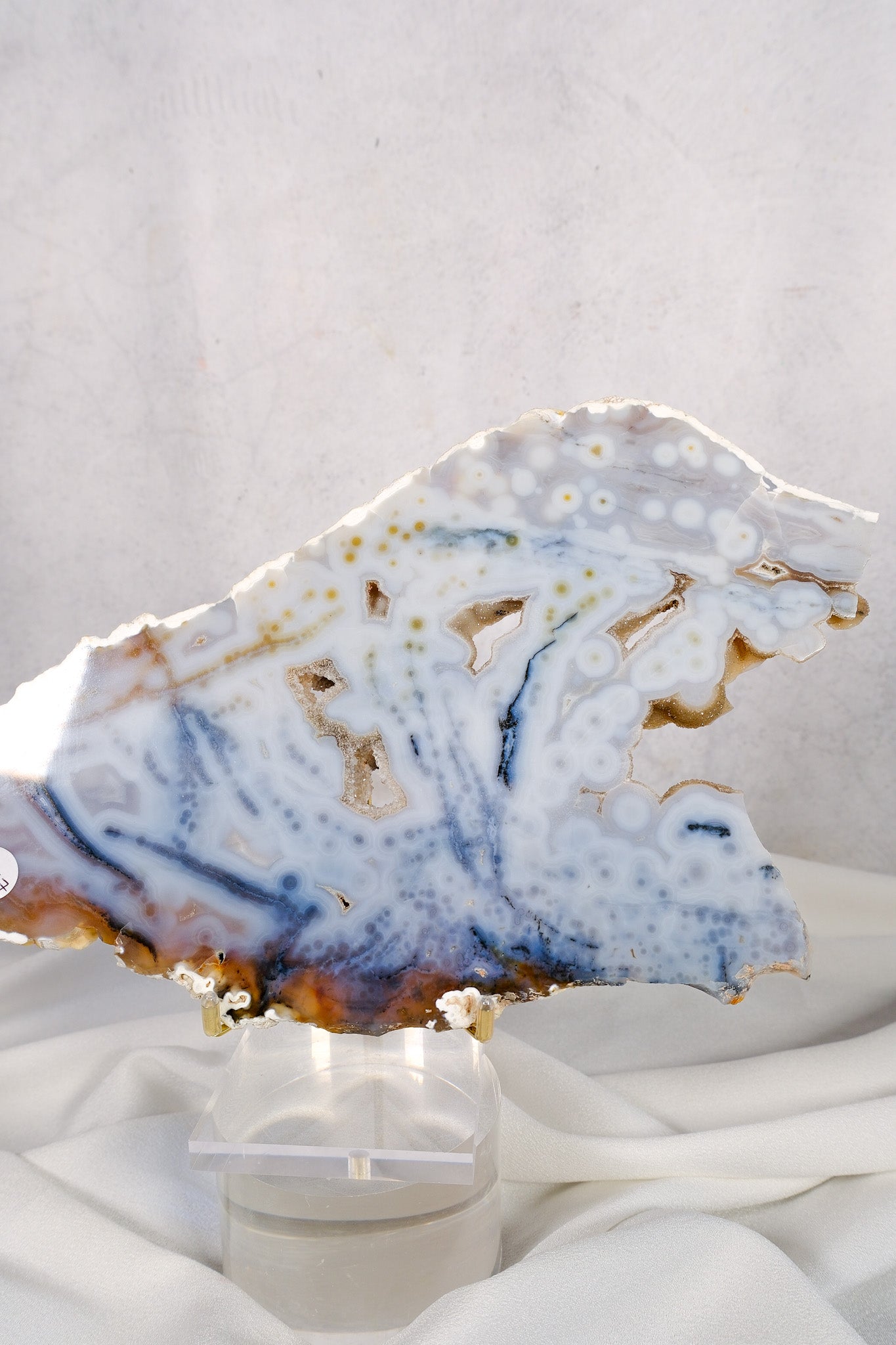 Ocean Jasper Slab