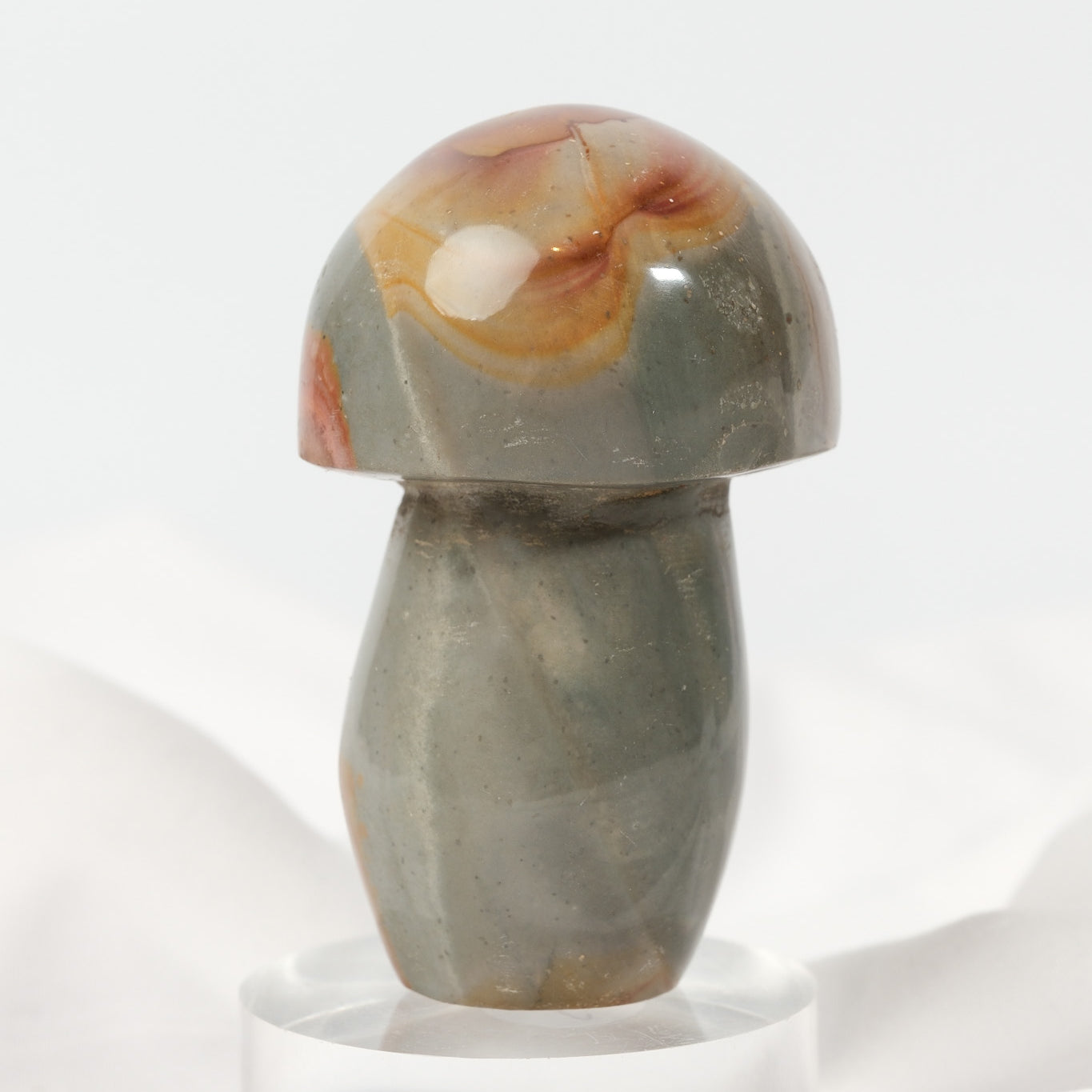 Polychrome Jasper Mushroom