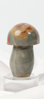 Polychrome Jasper Mushroom