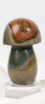 Polychrome Jasper Mushroom