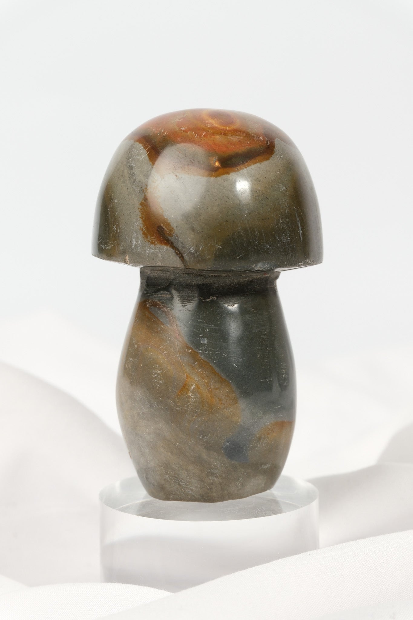 Polychrome Jasper Mushroom