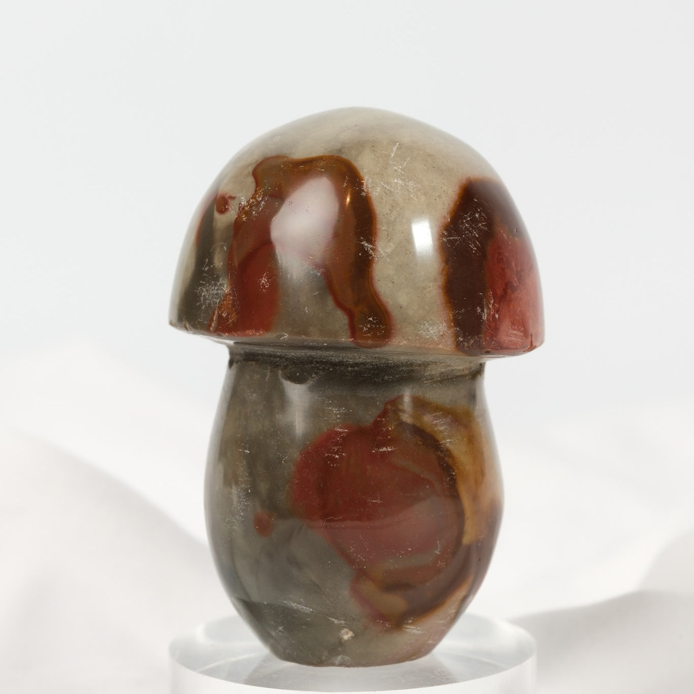 Polychrome Jasper Mushroom