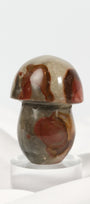 Polychrome Jasper Mushroom