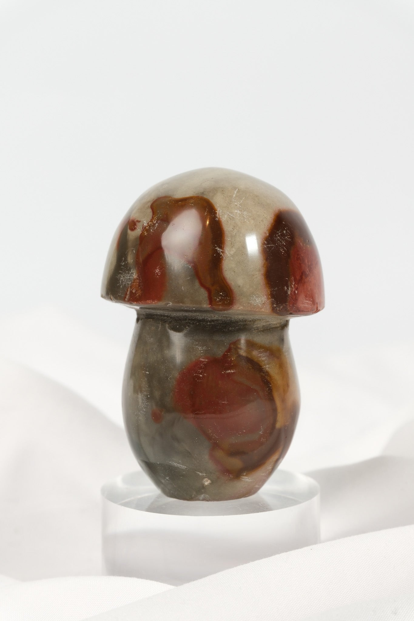 Polychrome Jasper Mushroom