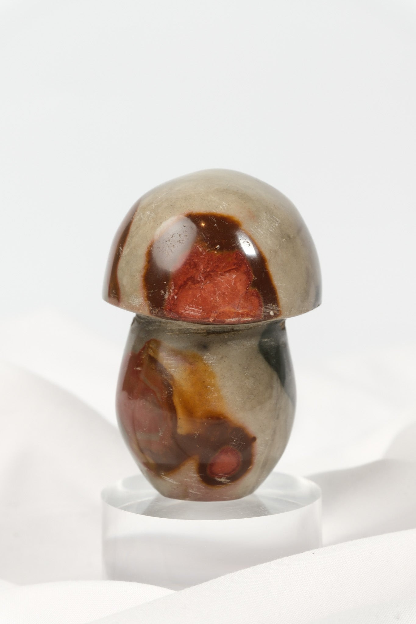 Polychrome Jasper Mushroom