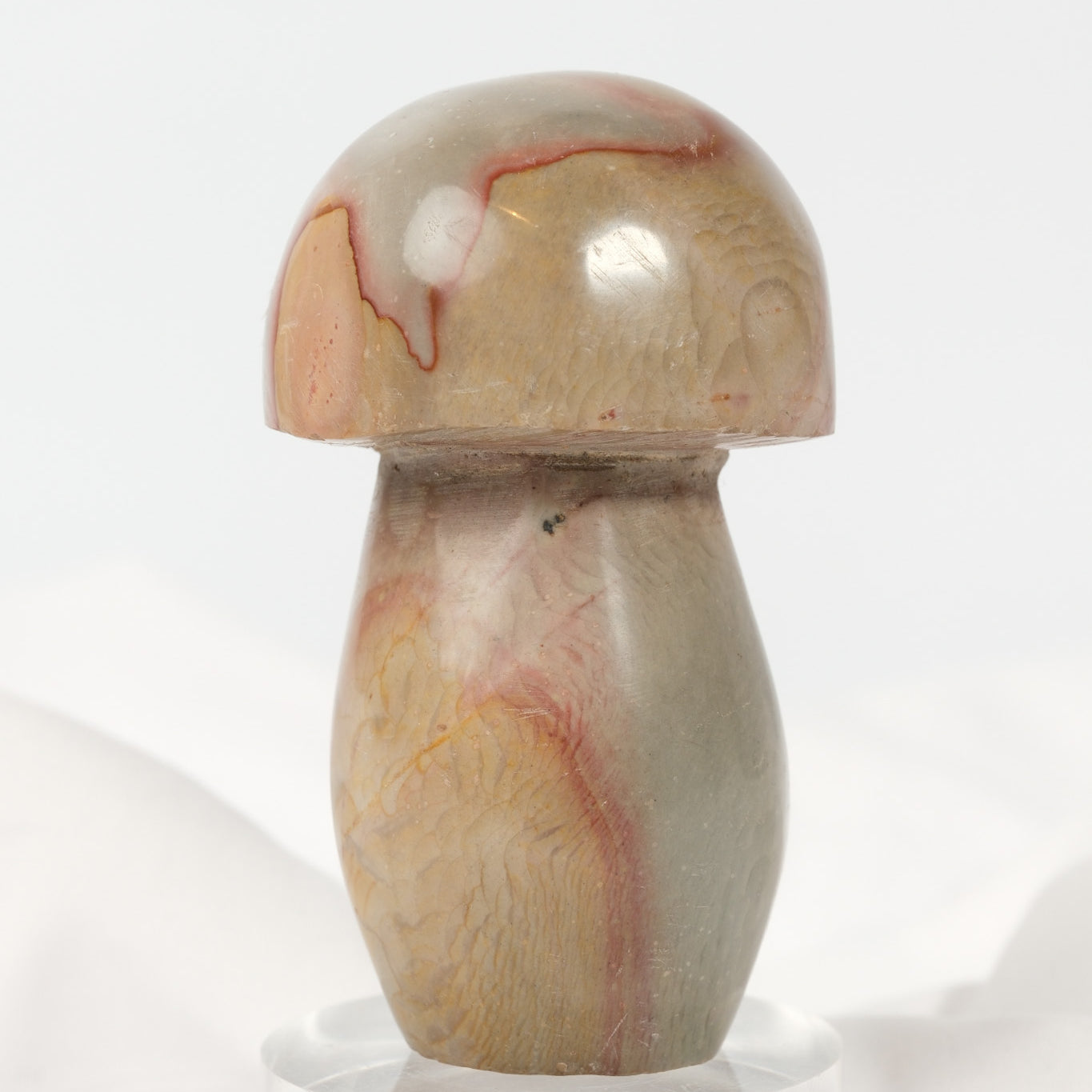 Polychrome Jasper Mushroom