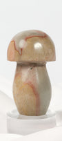 Polychrome Jasper Mushroom