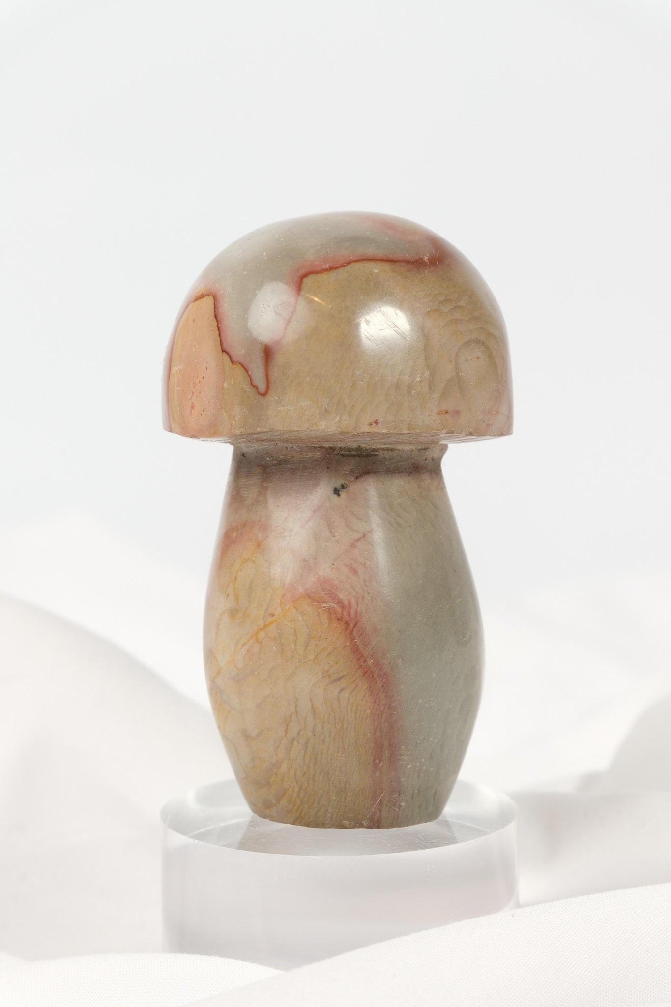 Polychrome Jasper Mushroom