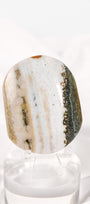 Orbicular Sea Jasper Palmstone
