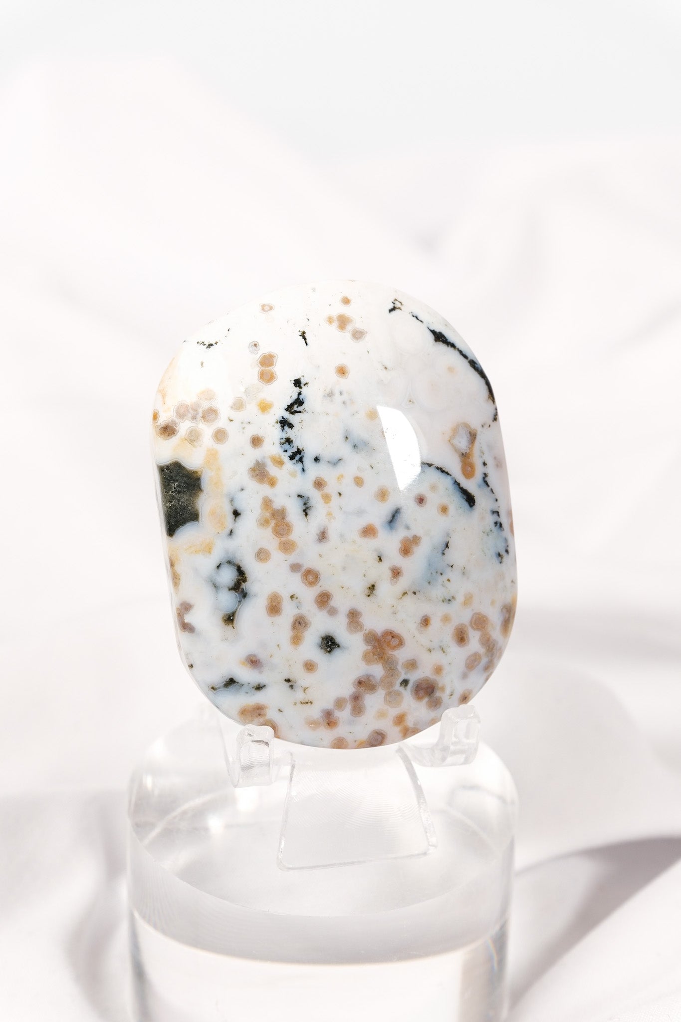 Orbicular Sea Jasper Palmstone