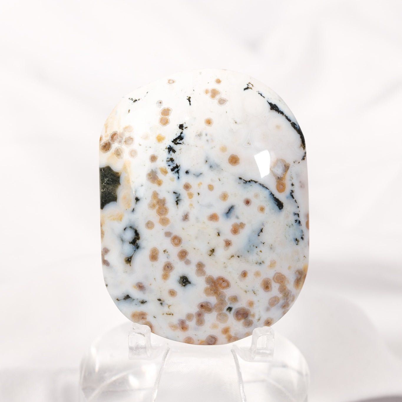 Orbicular Sea Jasper Palmstone