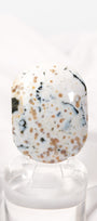 Orbicular Sea Jasper Palmstone