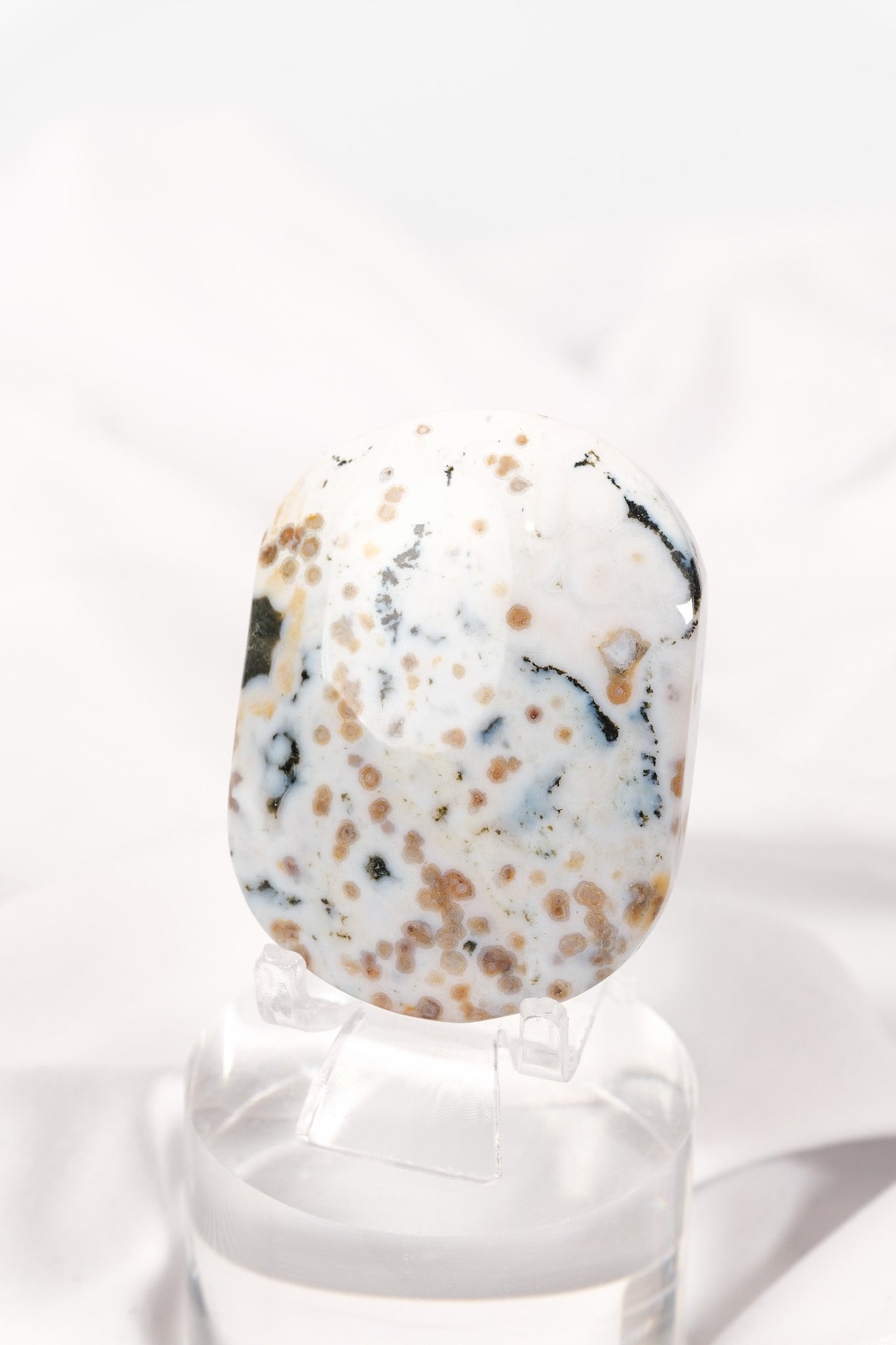 Orbicular Sea Jasper Palmstone