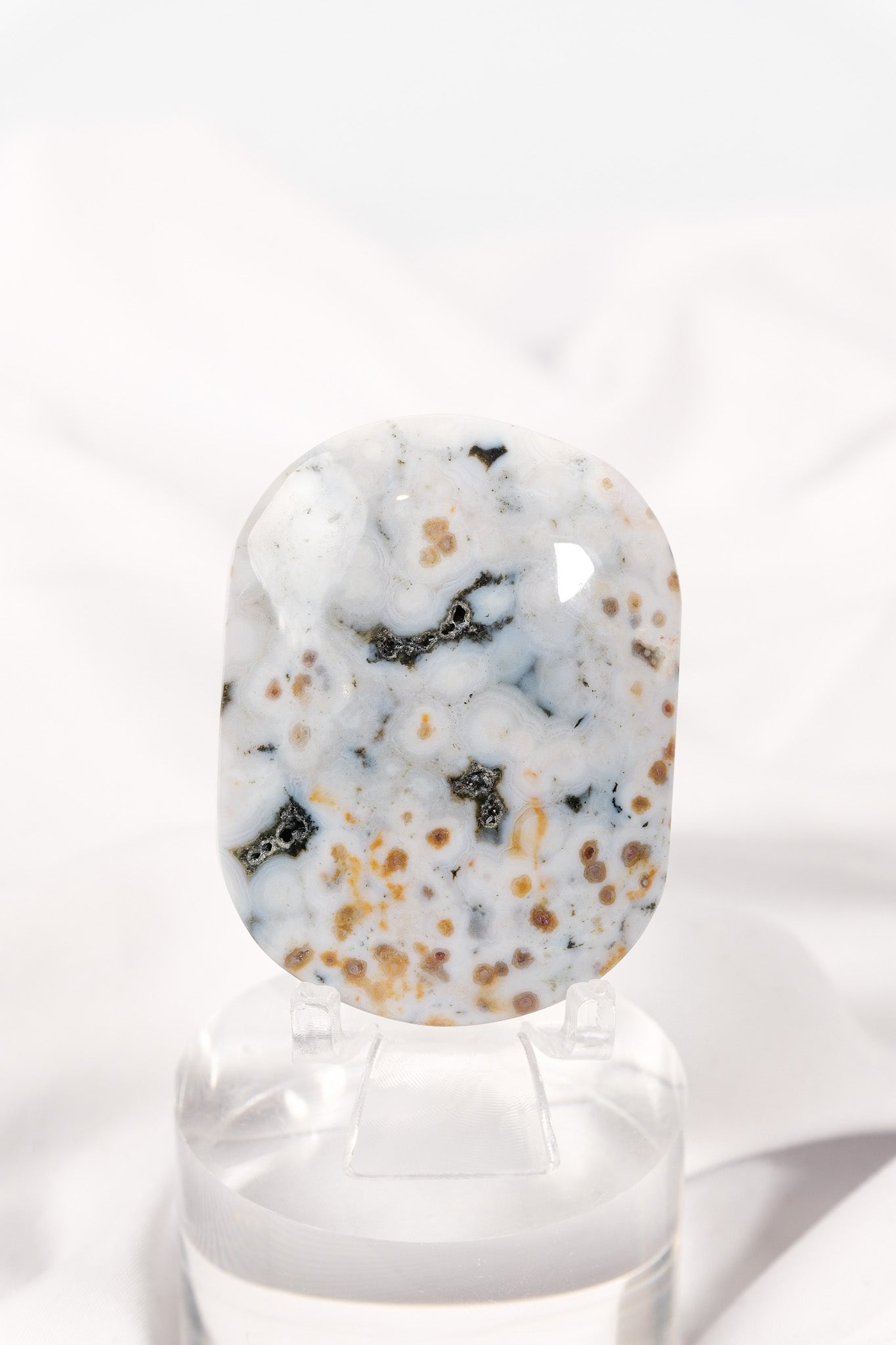 Orbicular Sea Jasper Palmstone