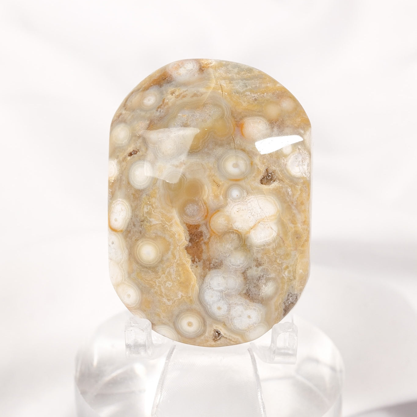 Orbicular Sea Jasper Palmstone