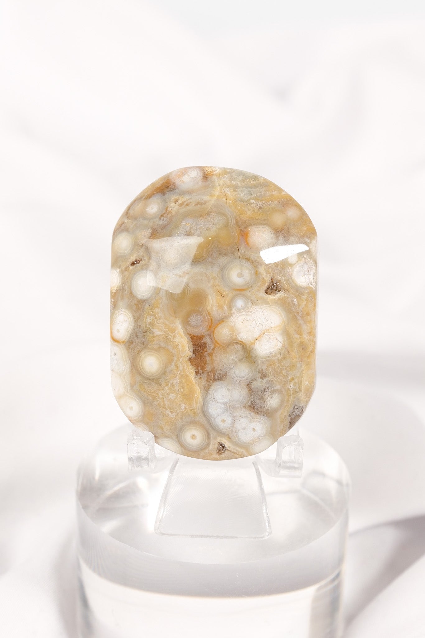 Orbicular Sea Jasper Palmstone