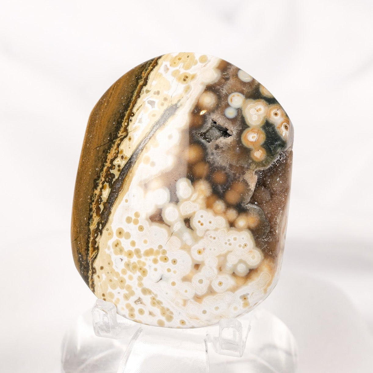 Orbicular Sea Jasper Palmstone