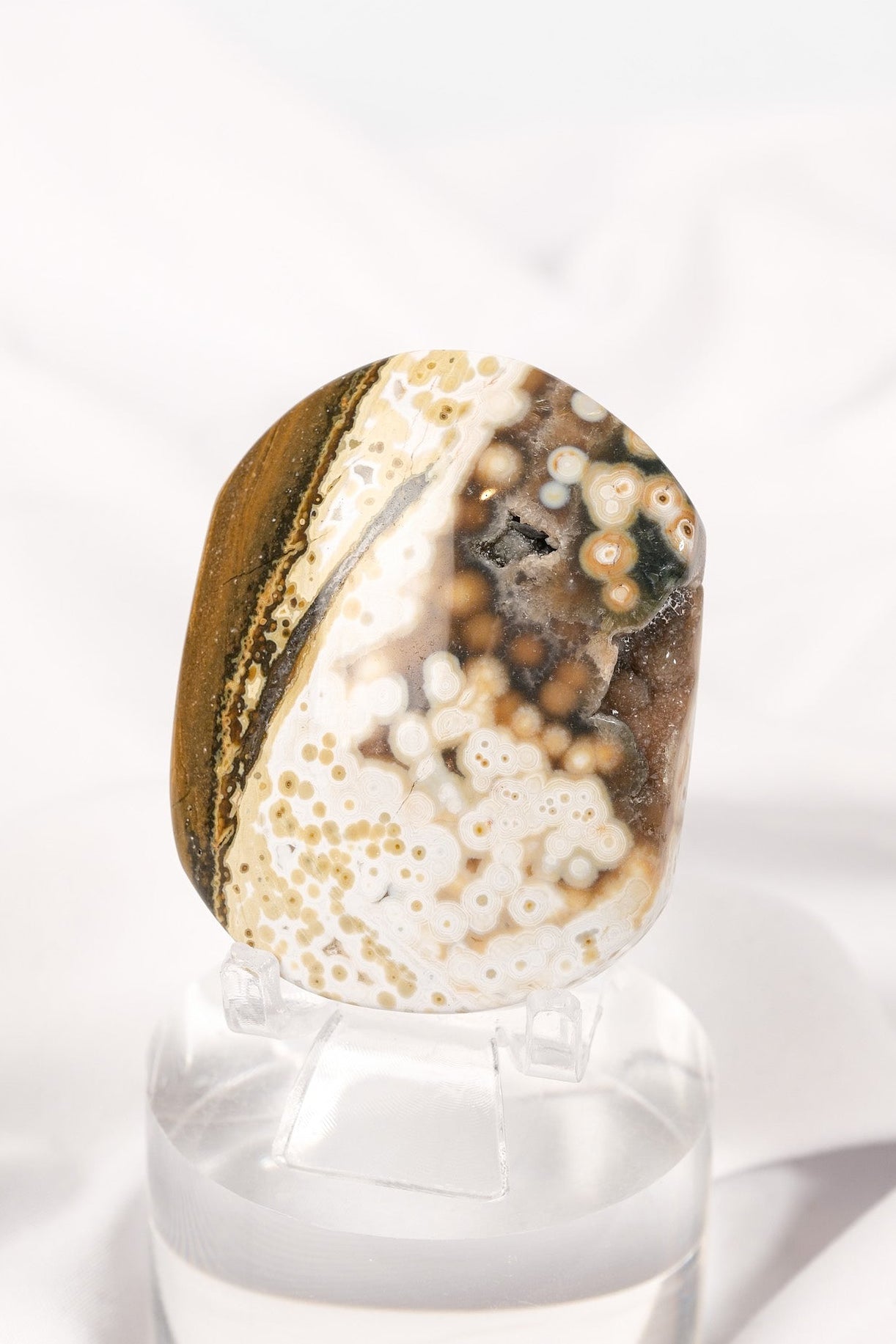 Orbicular Sea Jasper Palmstone