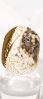 Orbicular Sea Jasper Palmstone