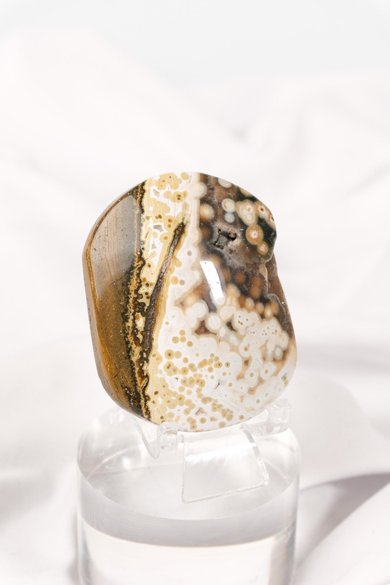 Orbicular Sea Jasper Palmstone